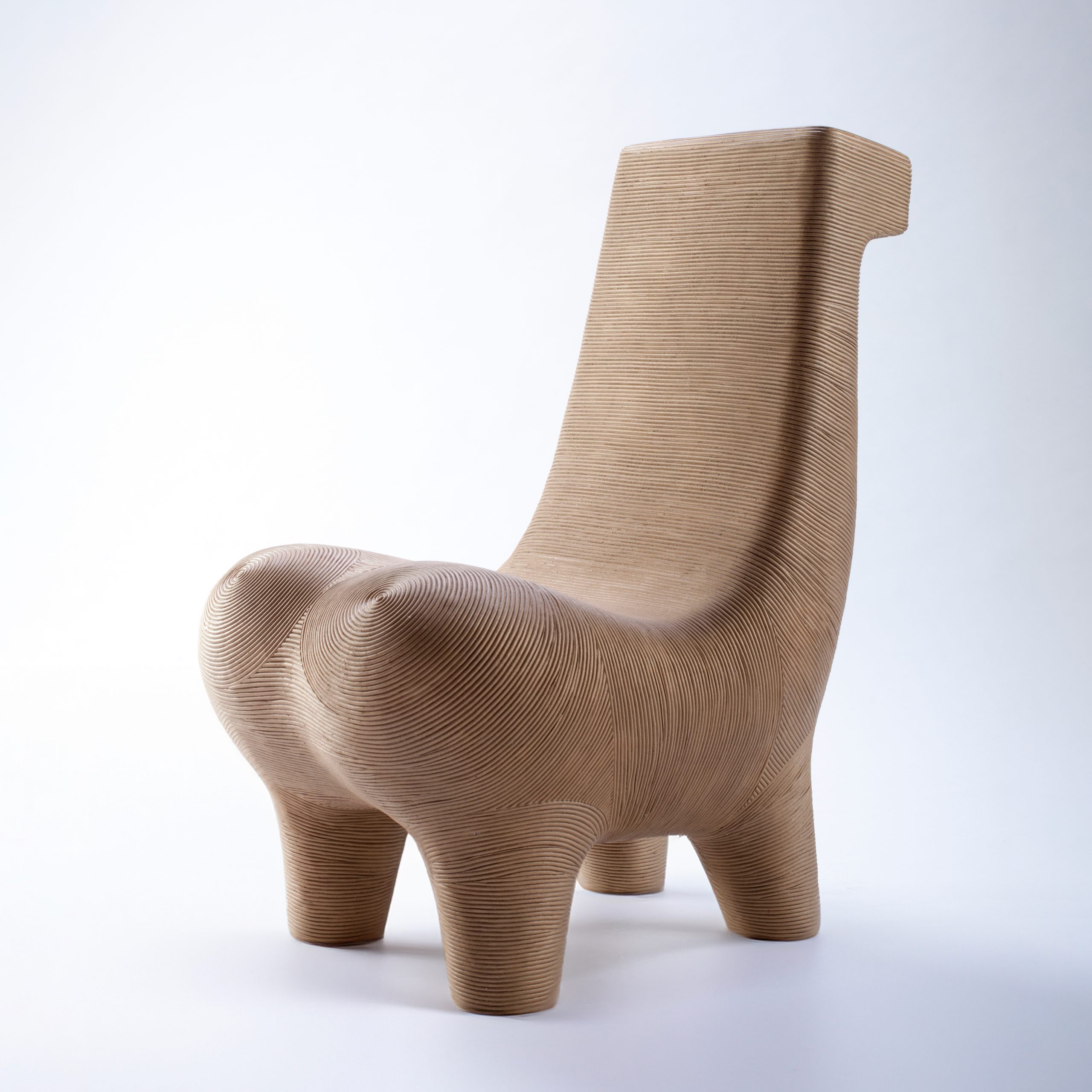 © Satyendra Pakhalé BM Horse Chair Bright courtesy ammann//gallery